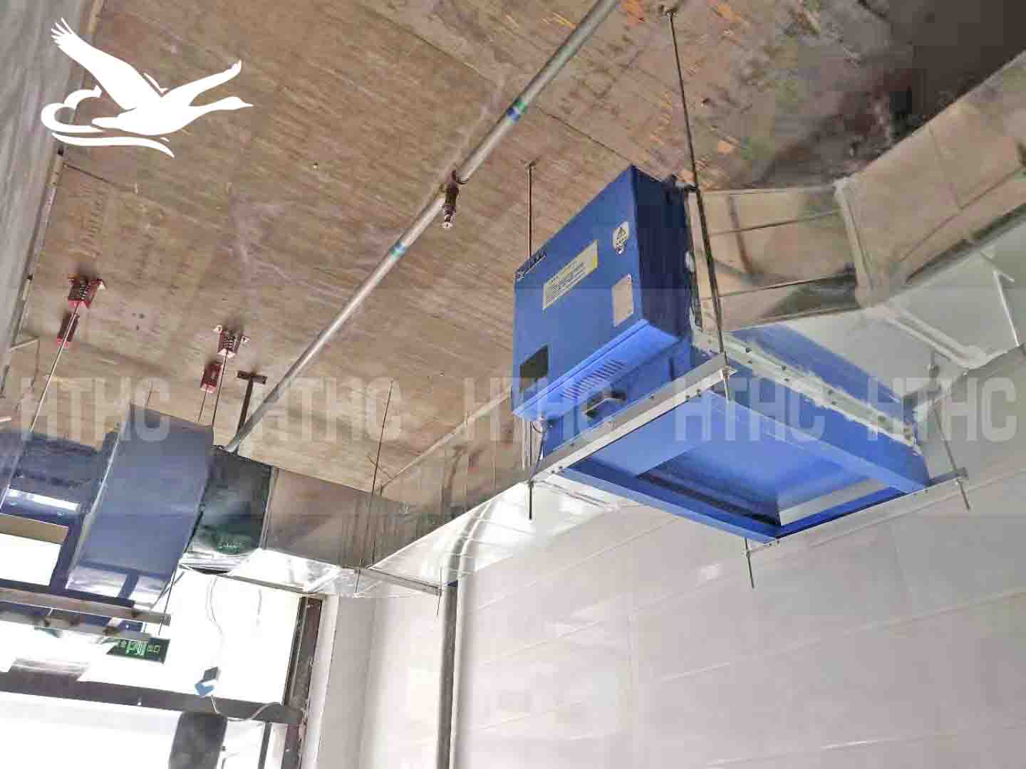 ����ş�����