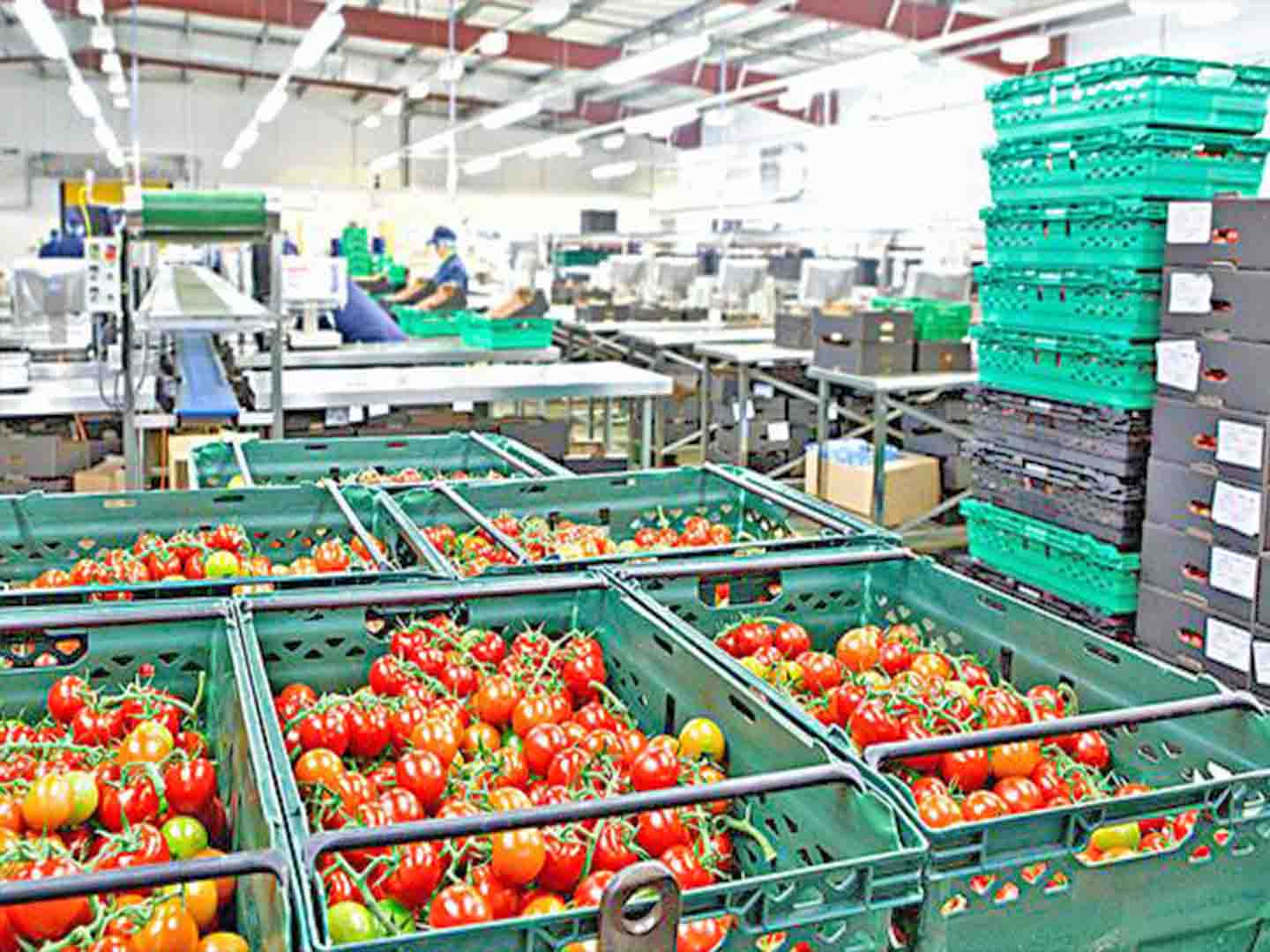 ʳƷ�ӹ��S����ϏS